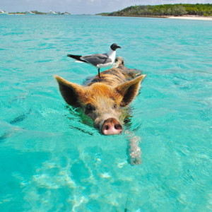 サプリメントで痔が治った！冷え・栄養不足・ストレスの意外な関係
